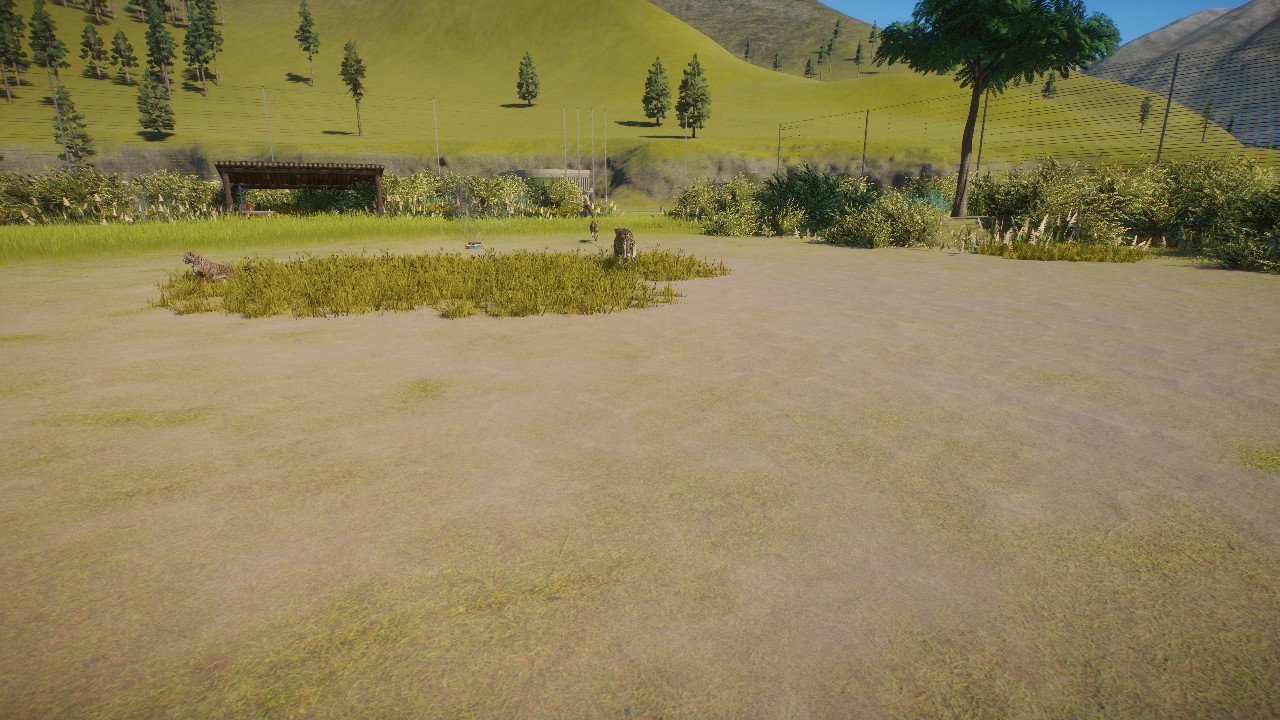 California sanctuary 