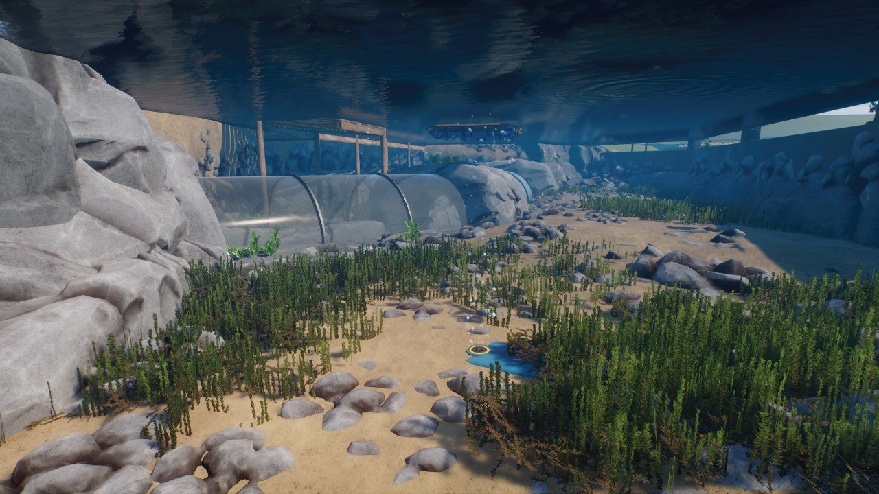 Underwater Tunnel