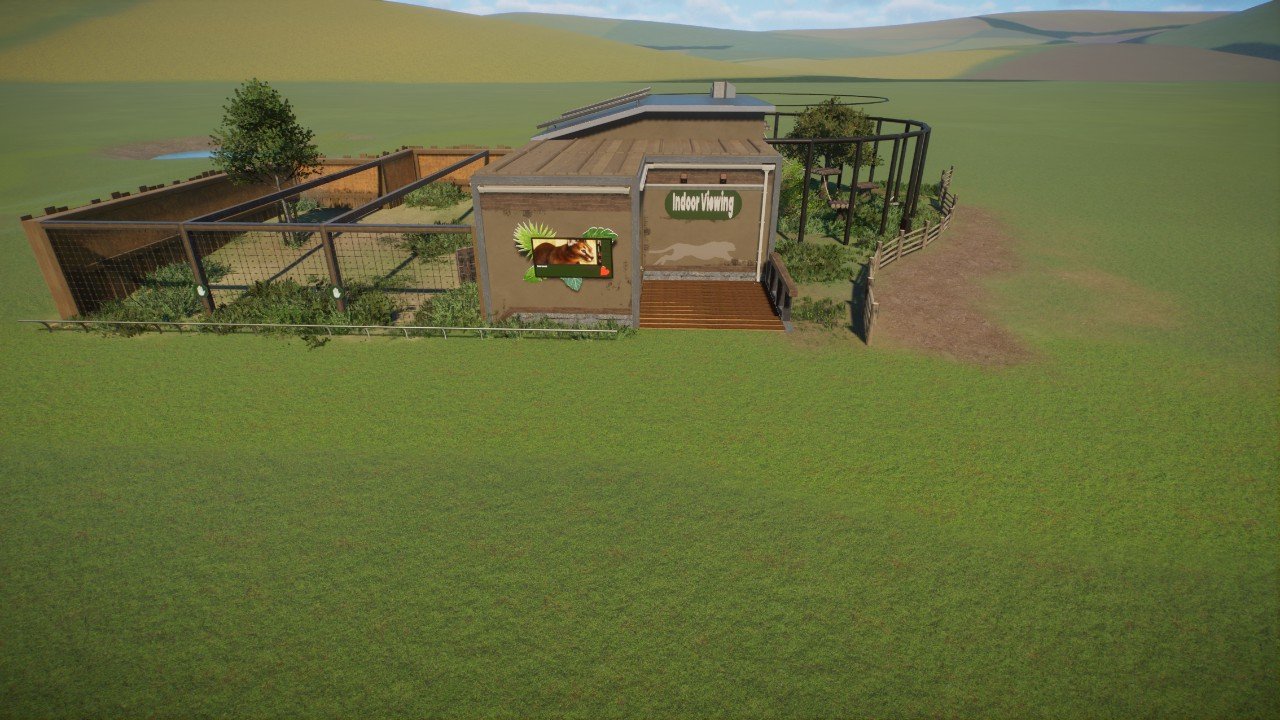 Realistic Caracal Enclosure