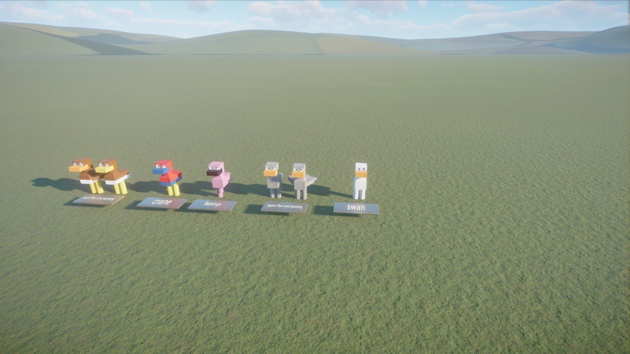bird selection