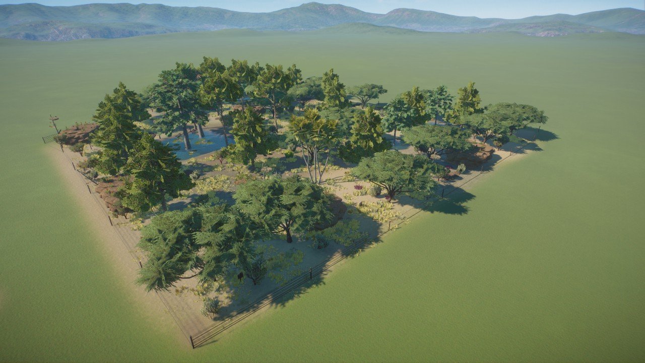 Komodo Dragon Habitat