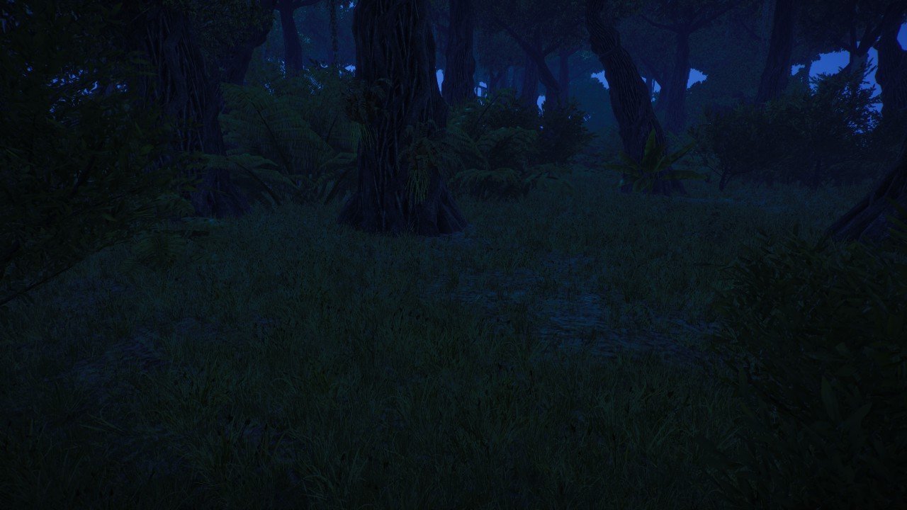 South Amerika Jungle