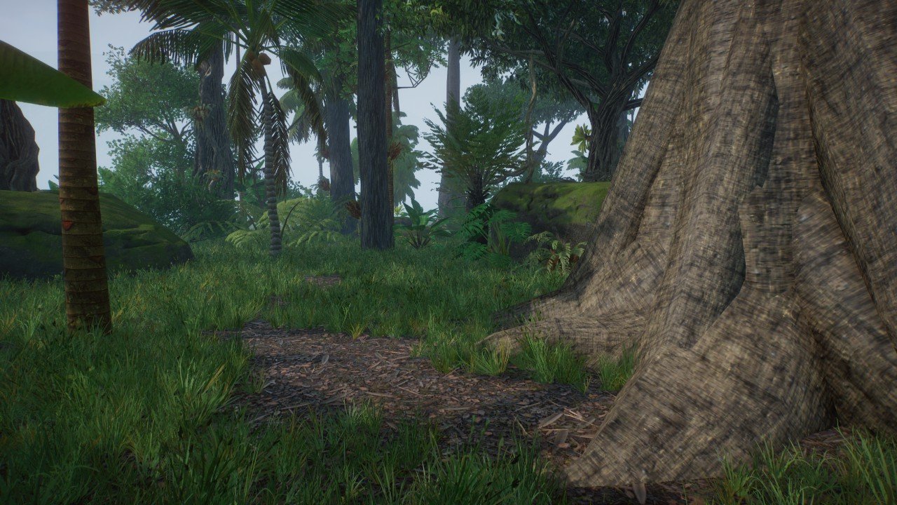 Amazon rainforest