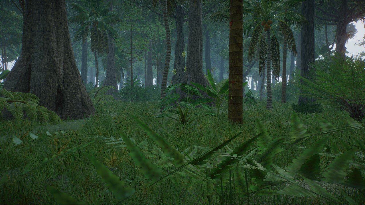 Amazon rainforest