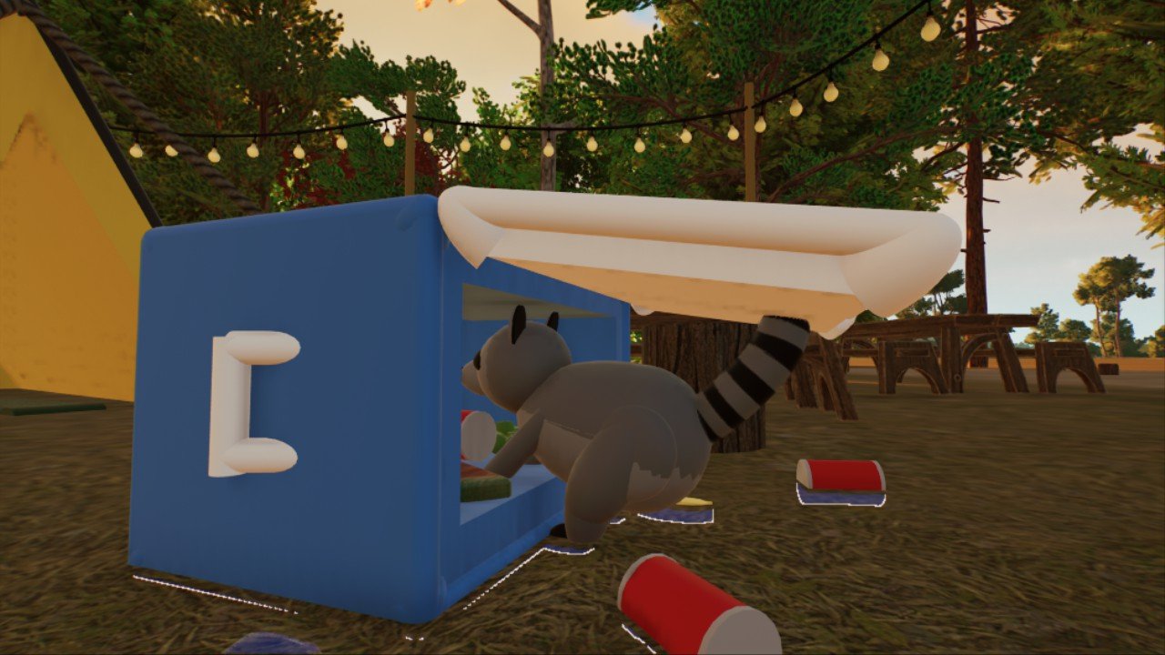Raccoon In Cooler