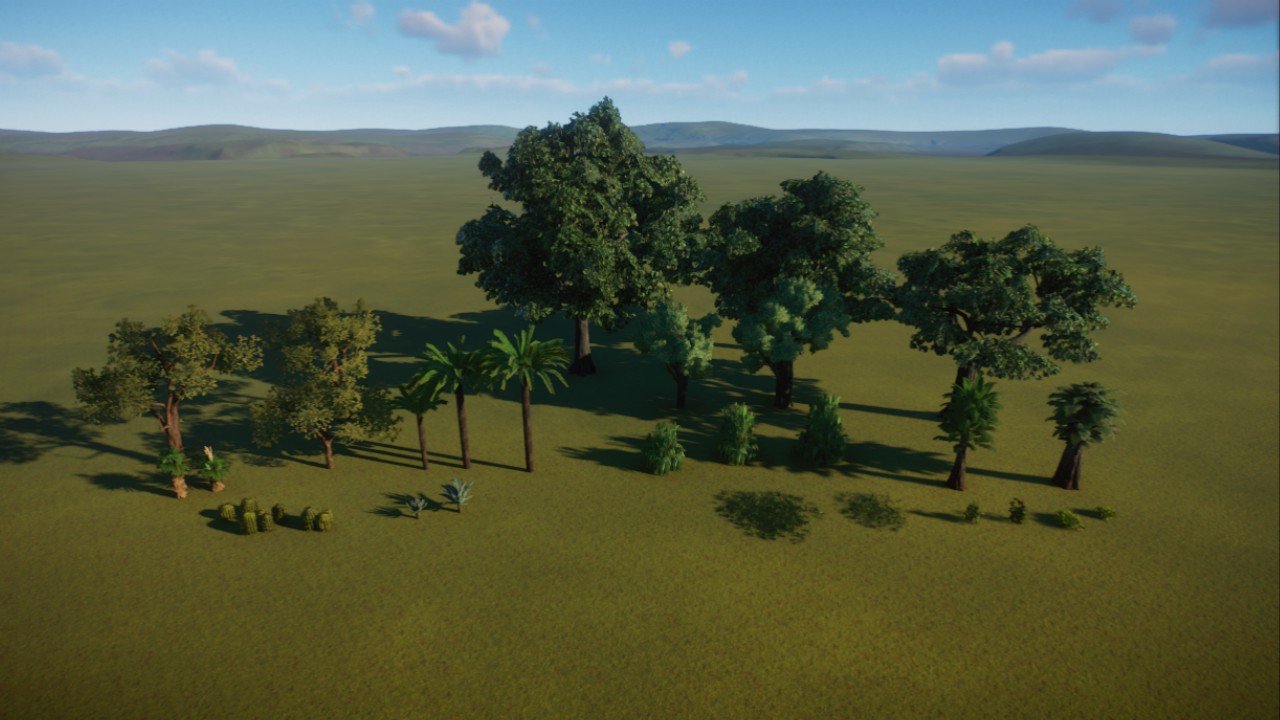 Dino's Custom Plants