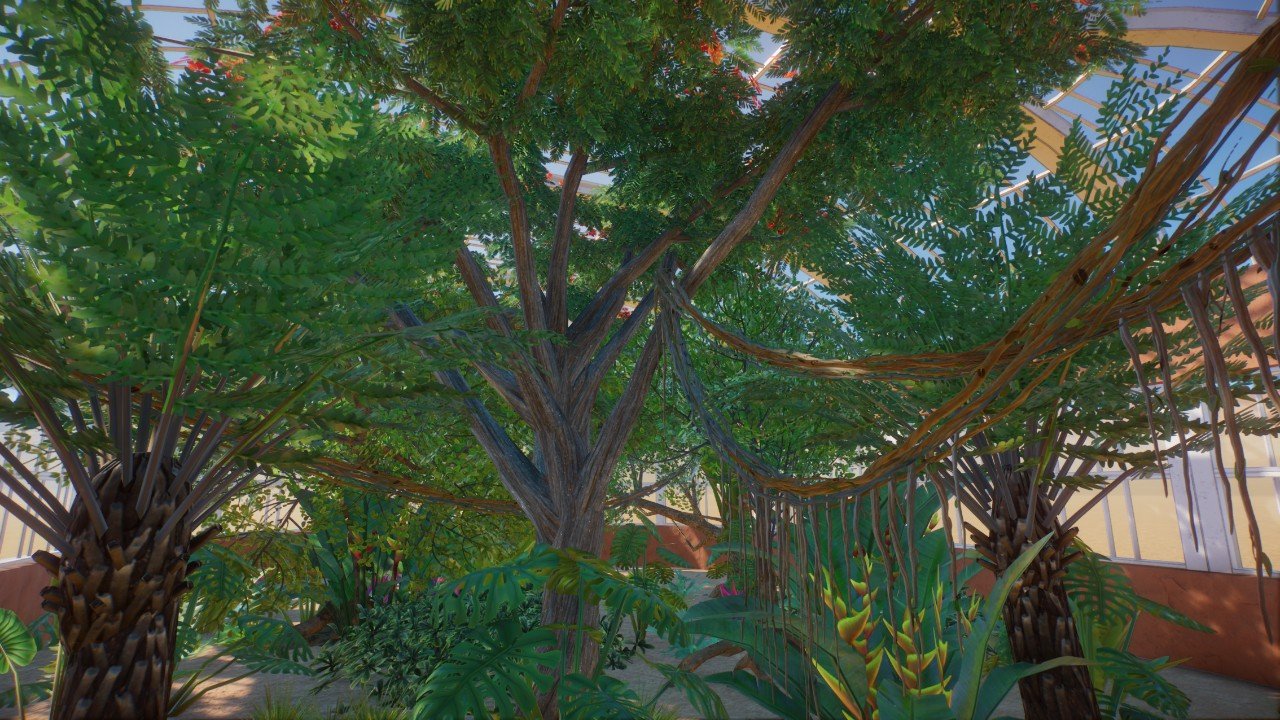 Jungle House