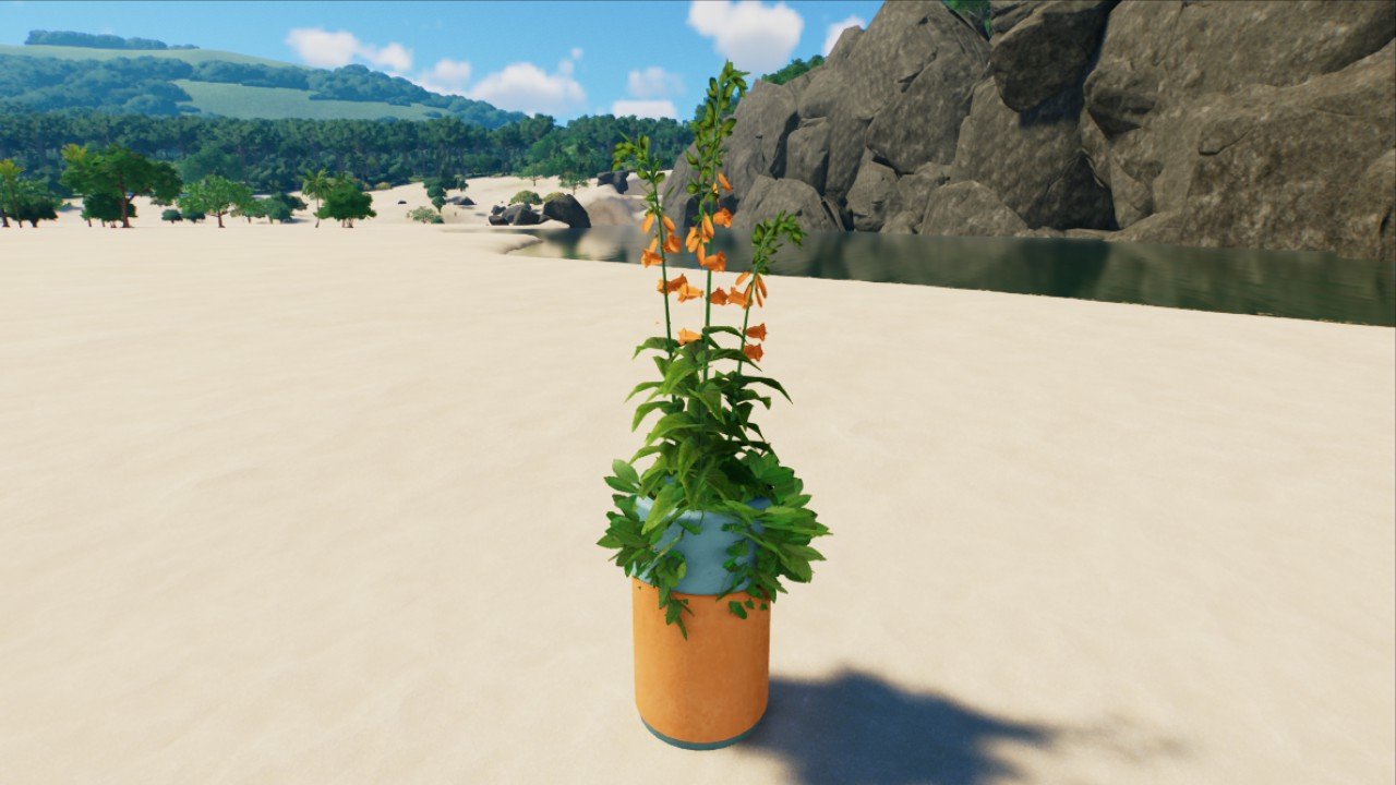 Small Planter