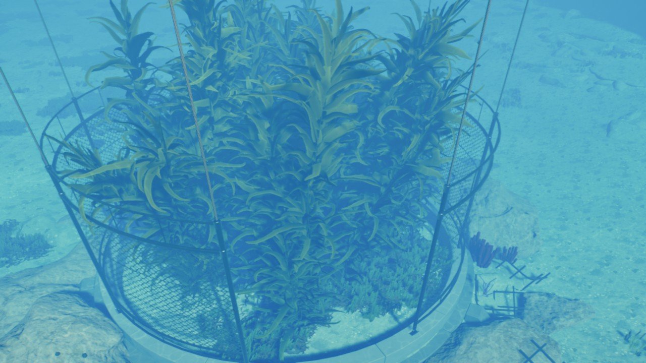 Marine Nest
