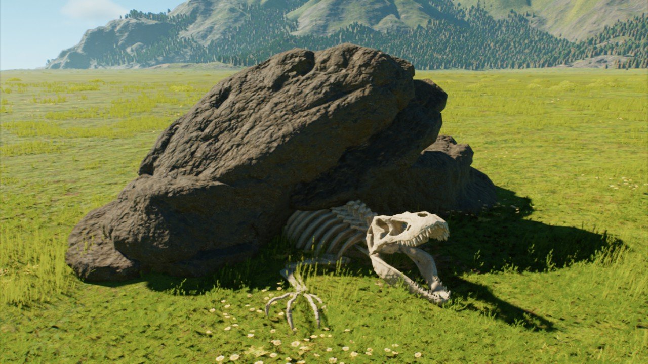 guy who died by rocks