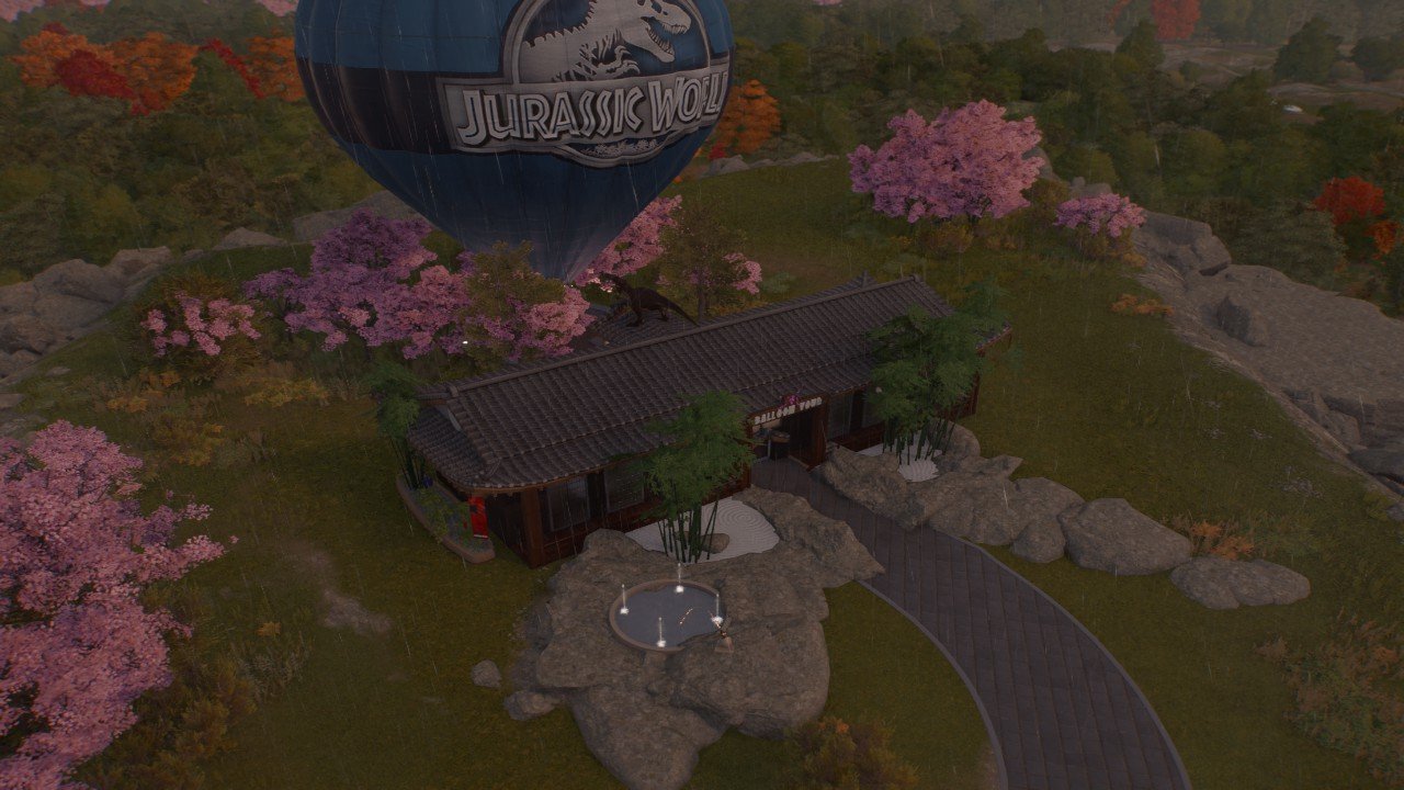 japanese balloon tour