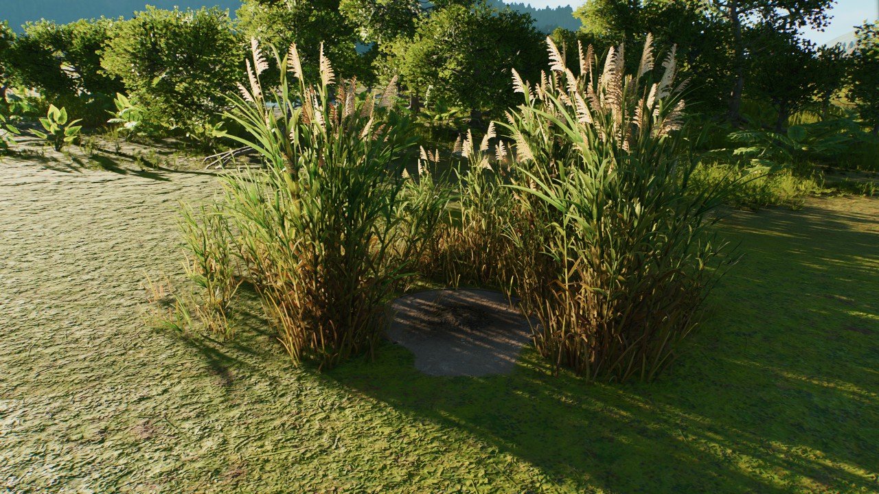 SMALL RIVERSIDE NEST