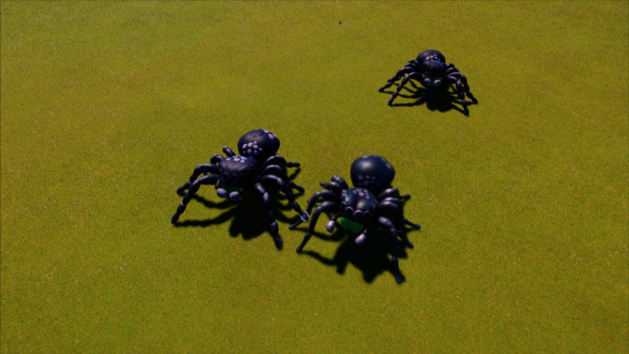 Stationary Spider