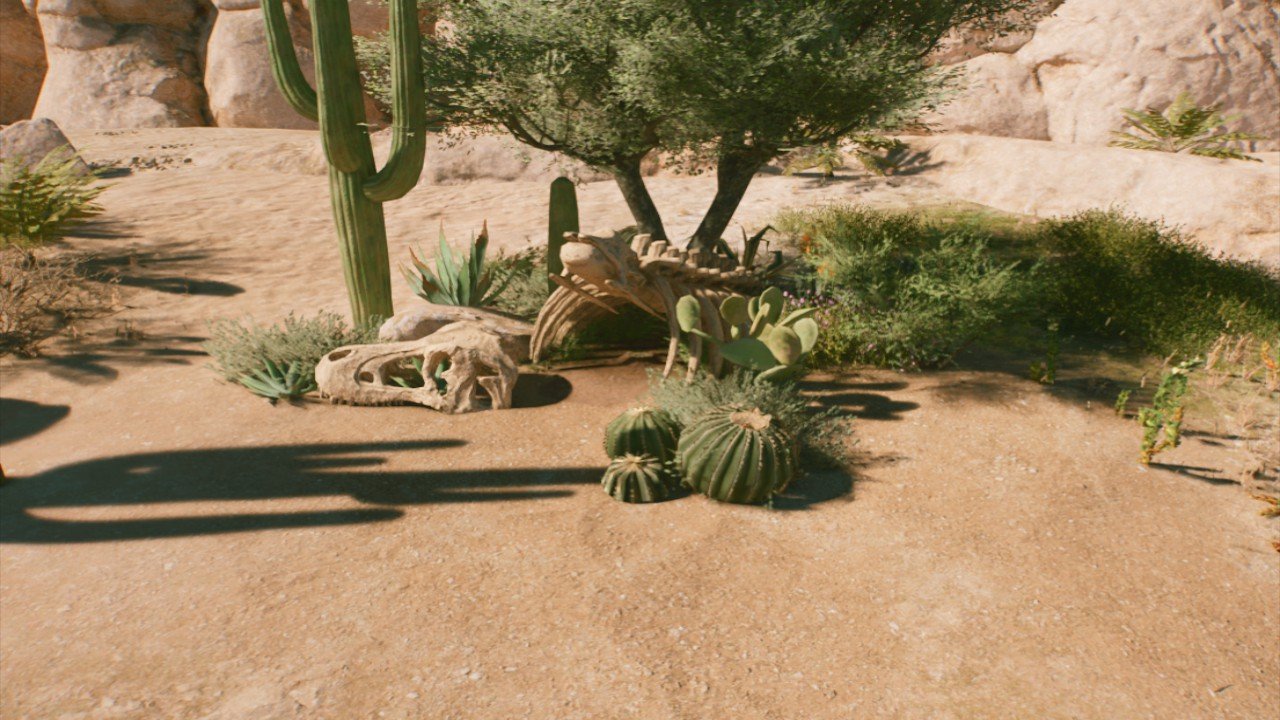 Arid Small Nest