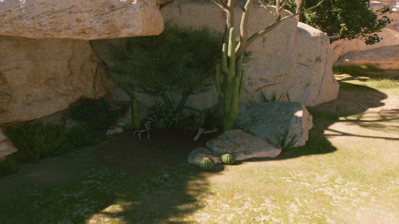 arid medium nest