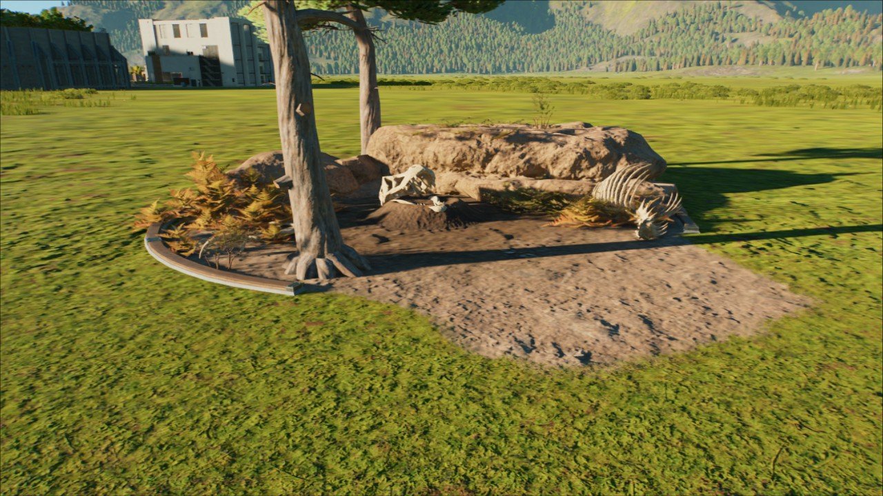 large predator Skull nest 