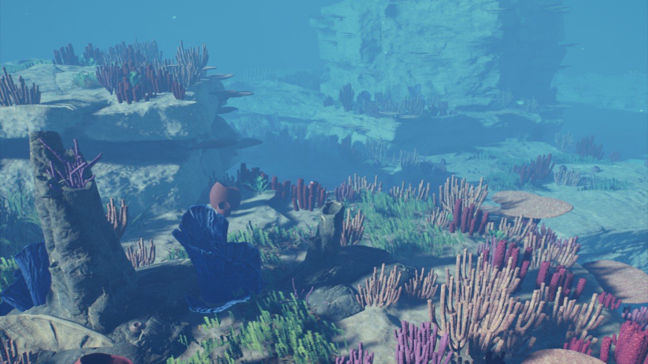 Lagoon Reef Formation