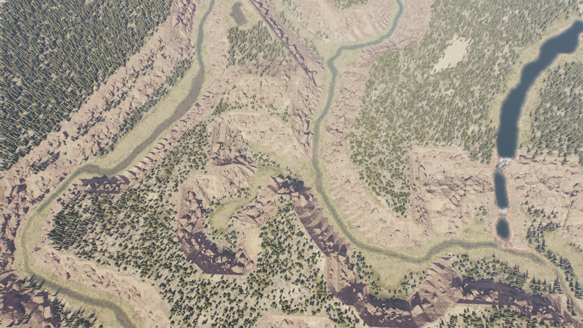 Trench Ecosystem