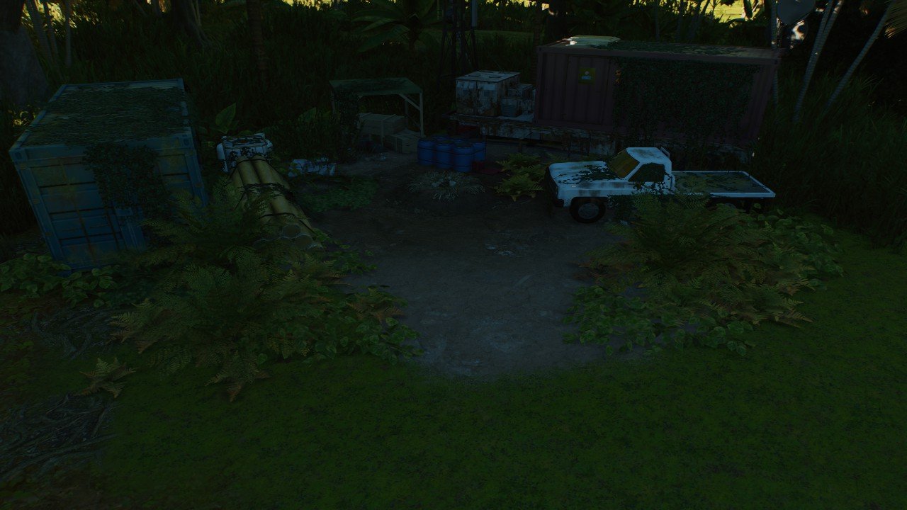 Large overgrown Nest