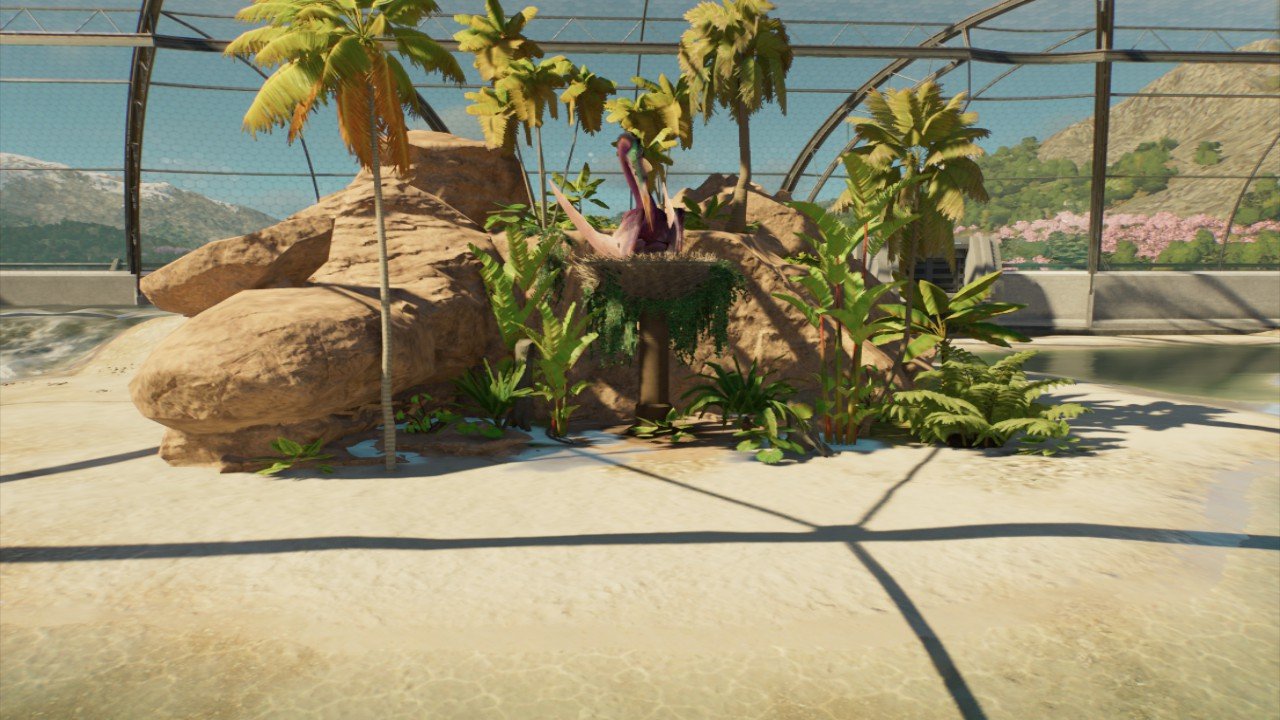 Natural Pterosaur Nest Tropical