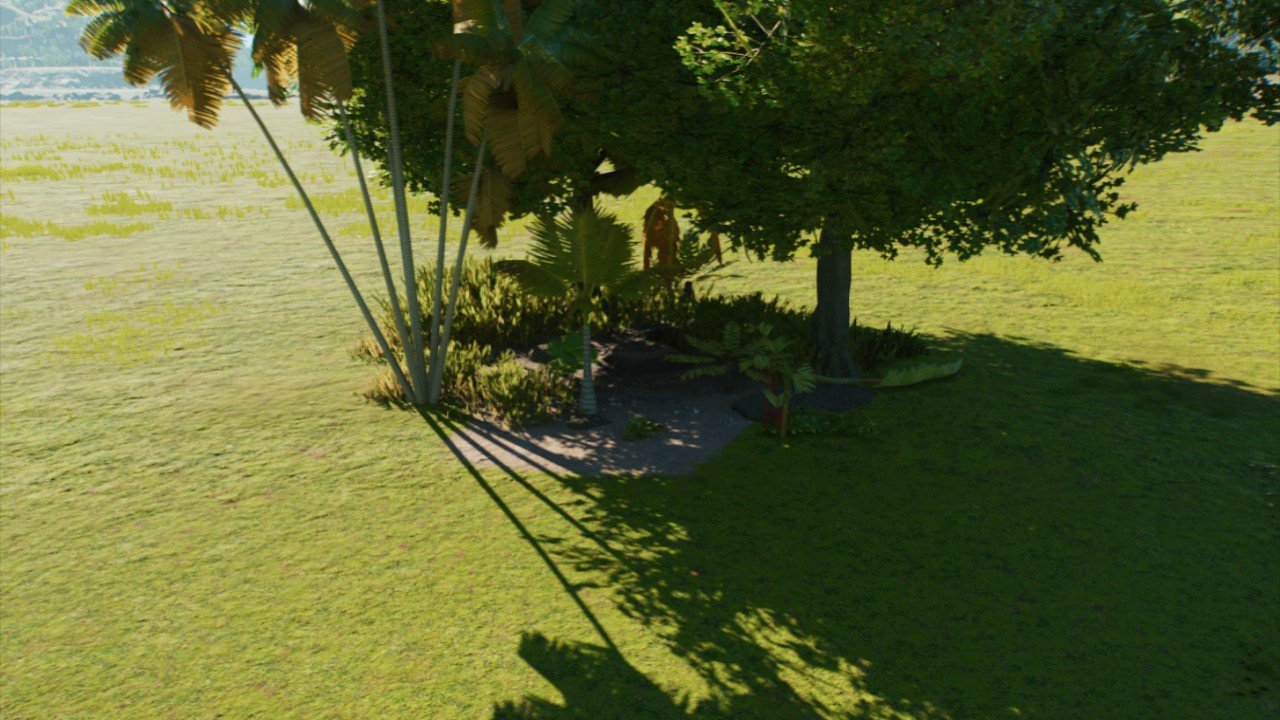 Tropical natural nest (LARGE) (Forest Carnivore/Bone Varient ...