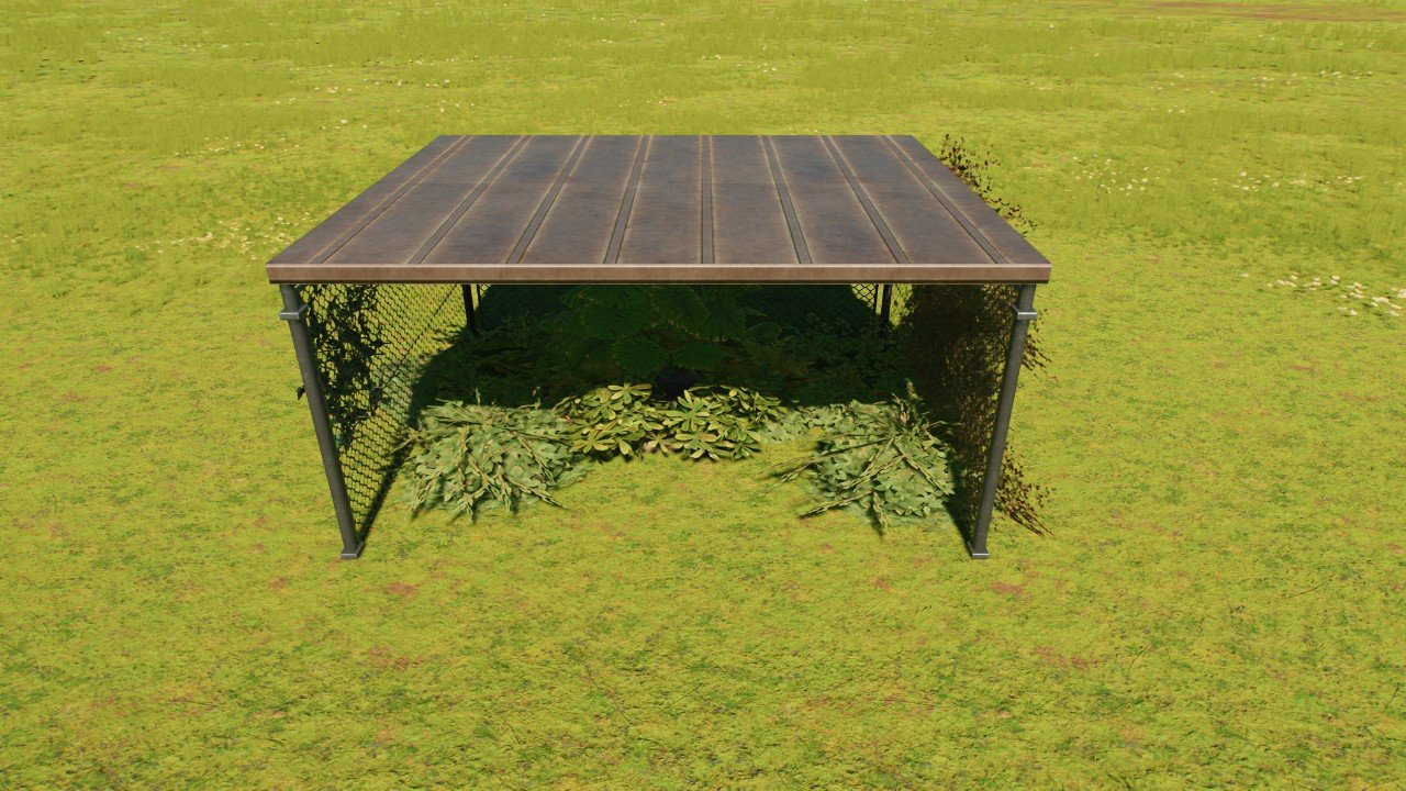 Small Nest in a Shed