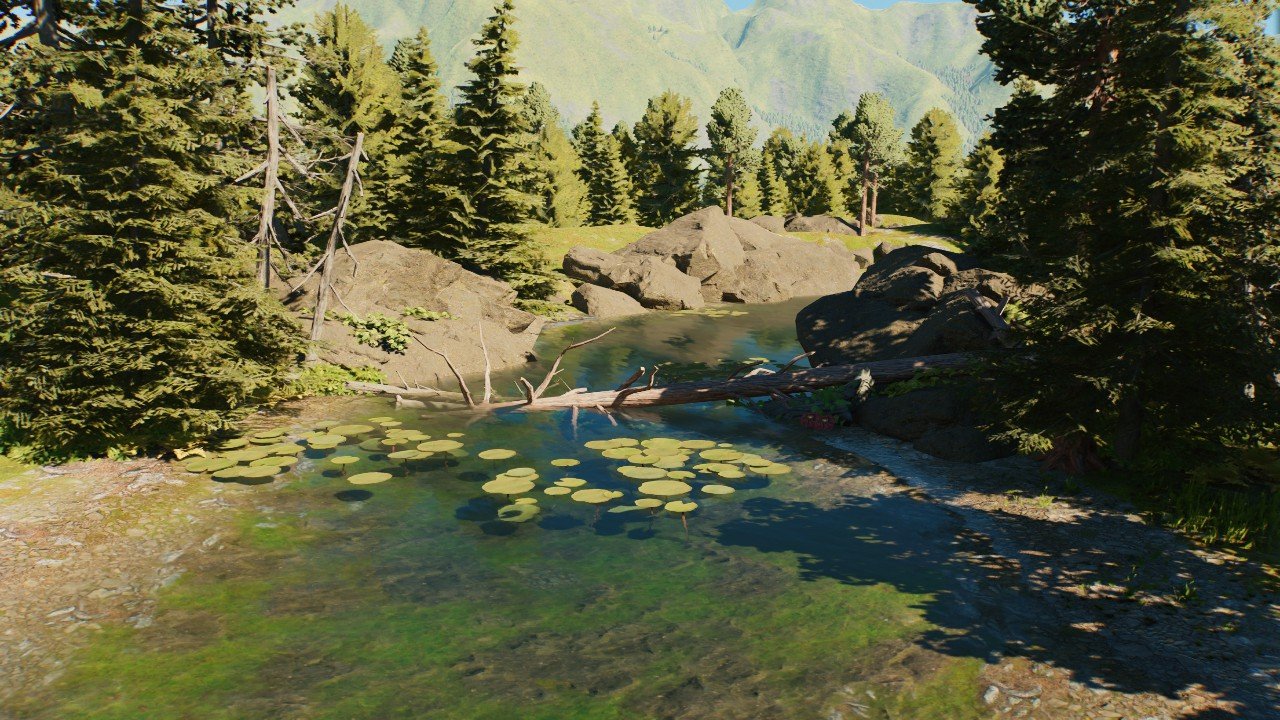 Natural Falling Tree Water Dam