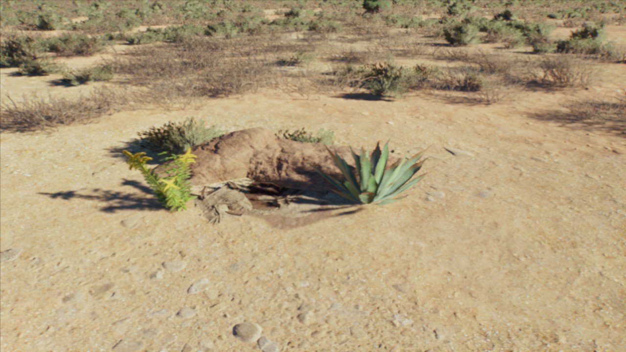 Grand Canyon Small Nest - Workshop - Jurassic World Evolution 3