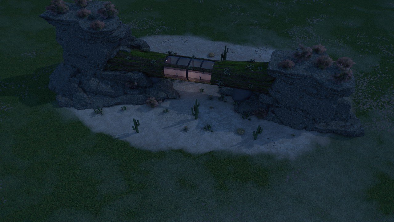 Desert veiwing log