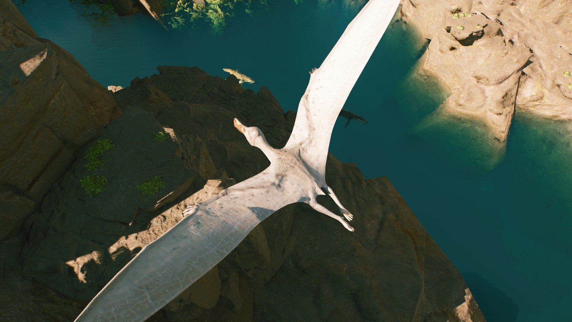 Home of the Kronosaurus