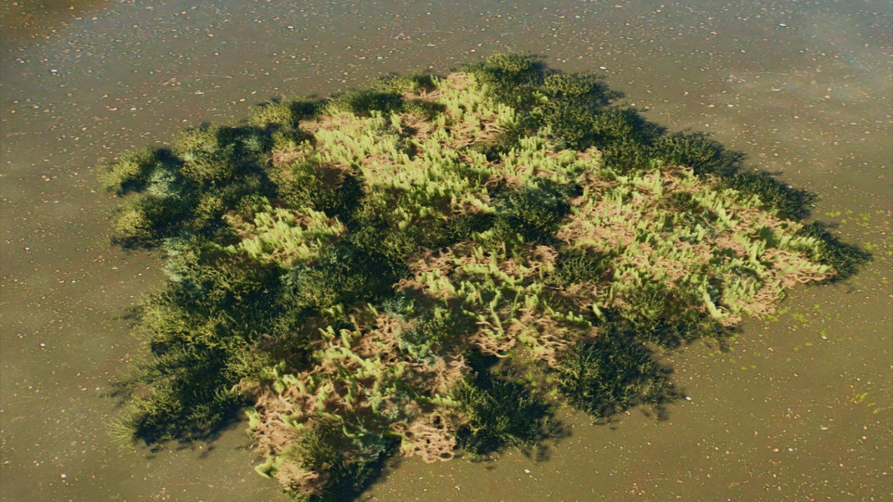 Moss foliage patch