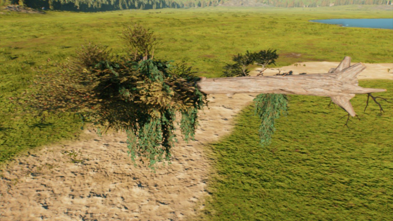 Large Tree Branch