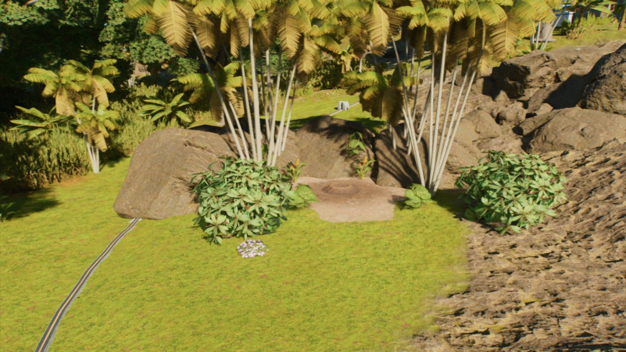 Natural nest