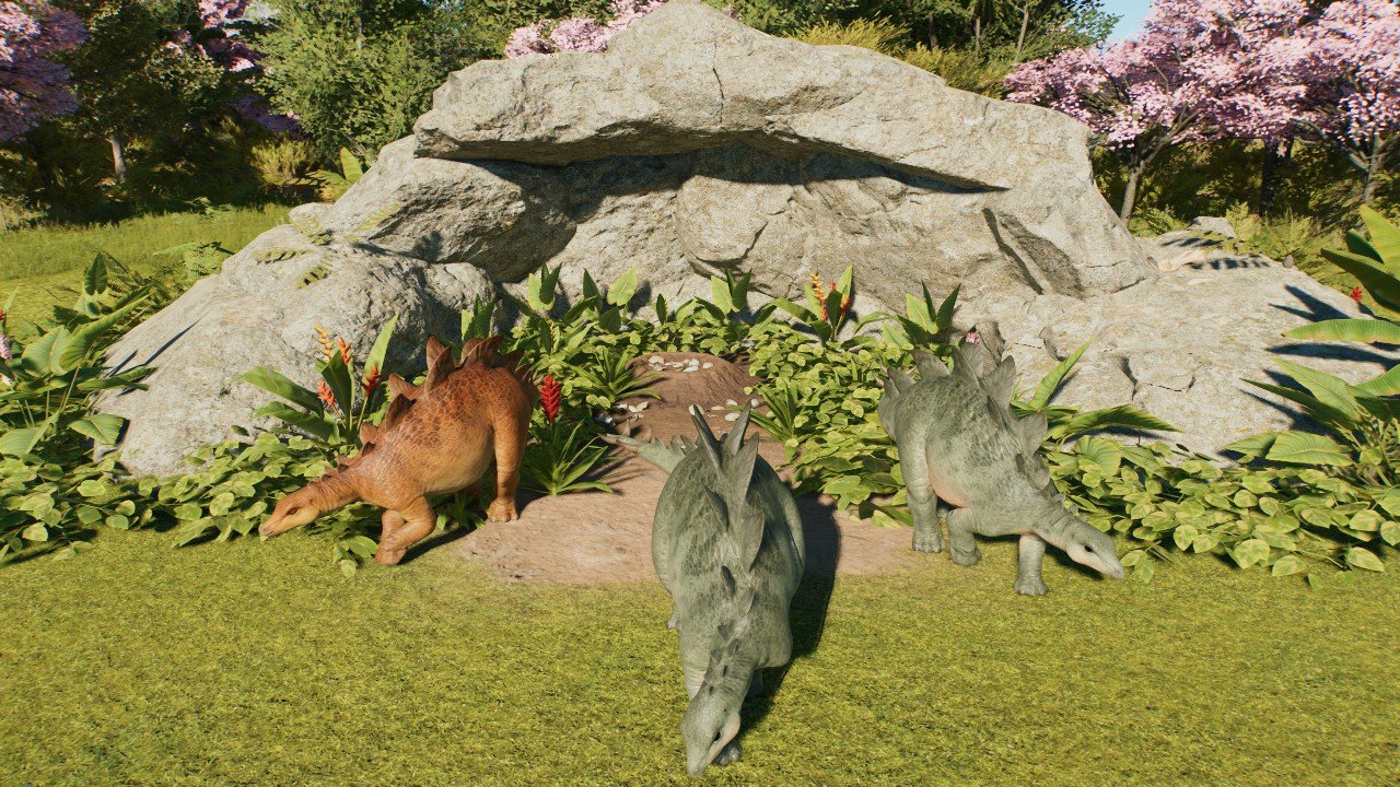 Simple Medium Nest