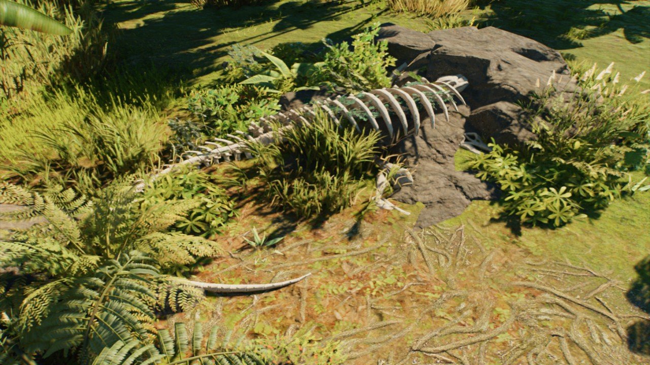Swrve sauropod sceleton