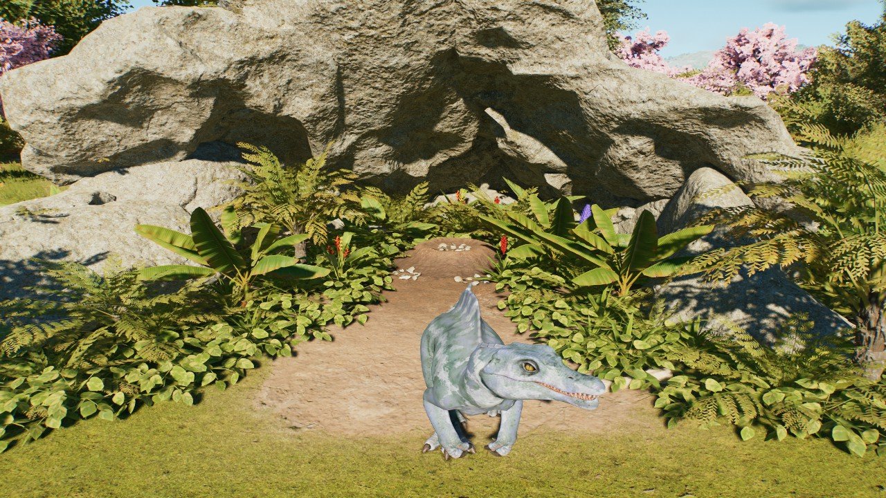 Simple Large Nest