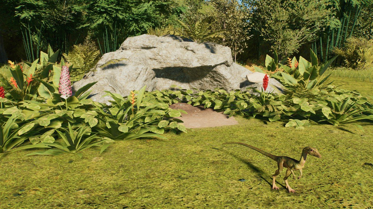 Simple Small Nest