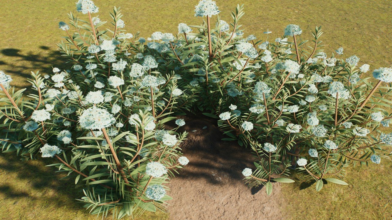 Dense flower patch small nest