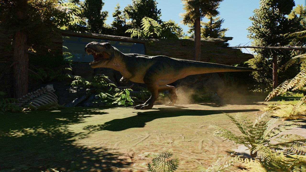 The Rex Nest Attraction