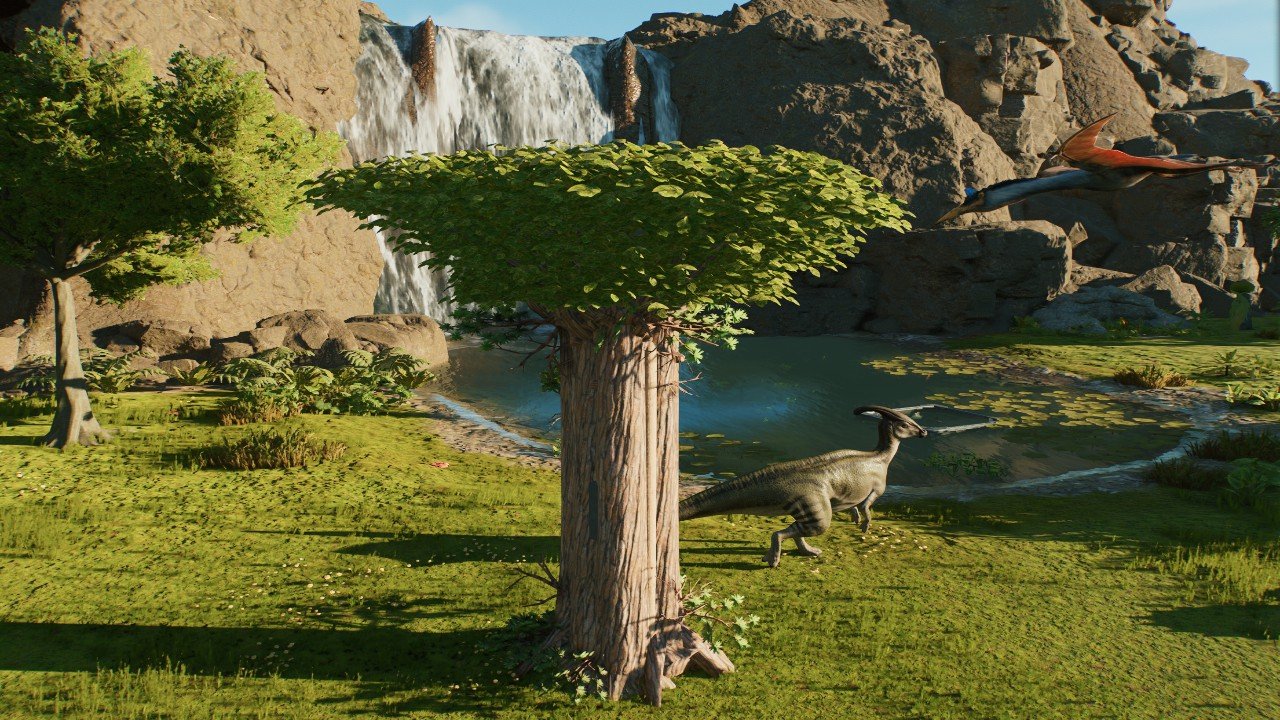 Tree Perch