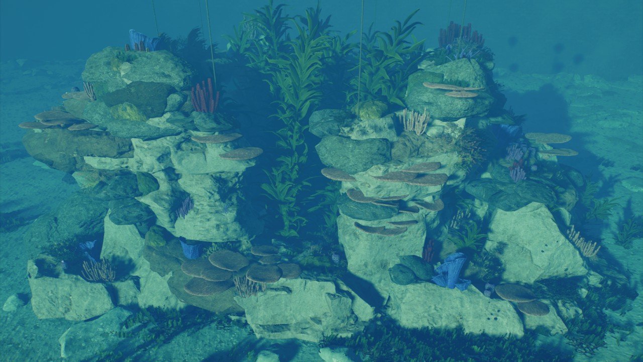 Coral Reef Marine Nest