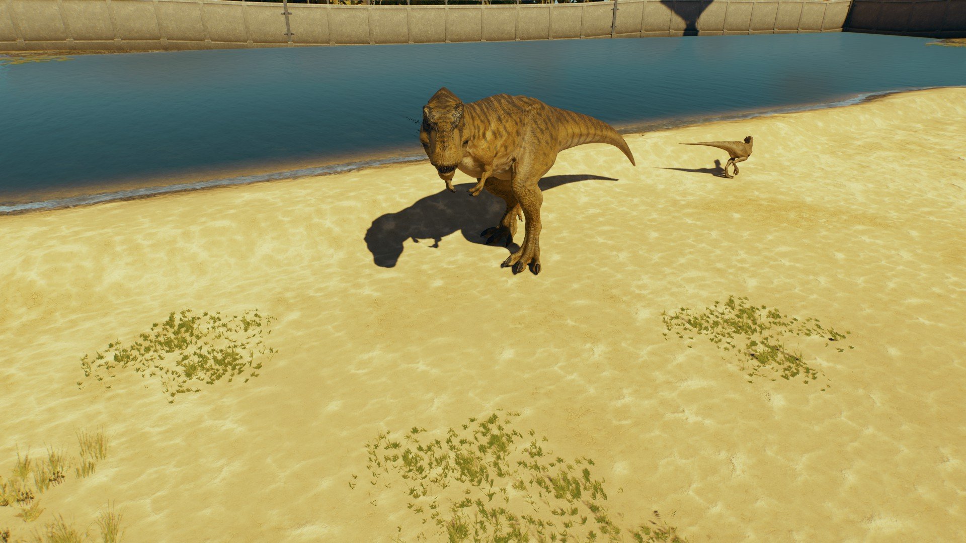 Prehistoric paradise (please, read the description.) - Workshop