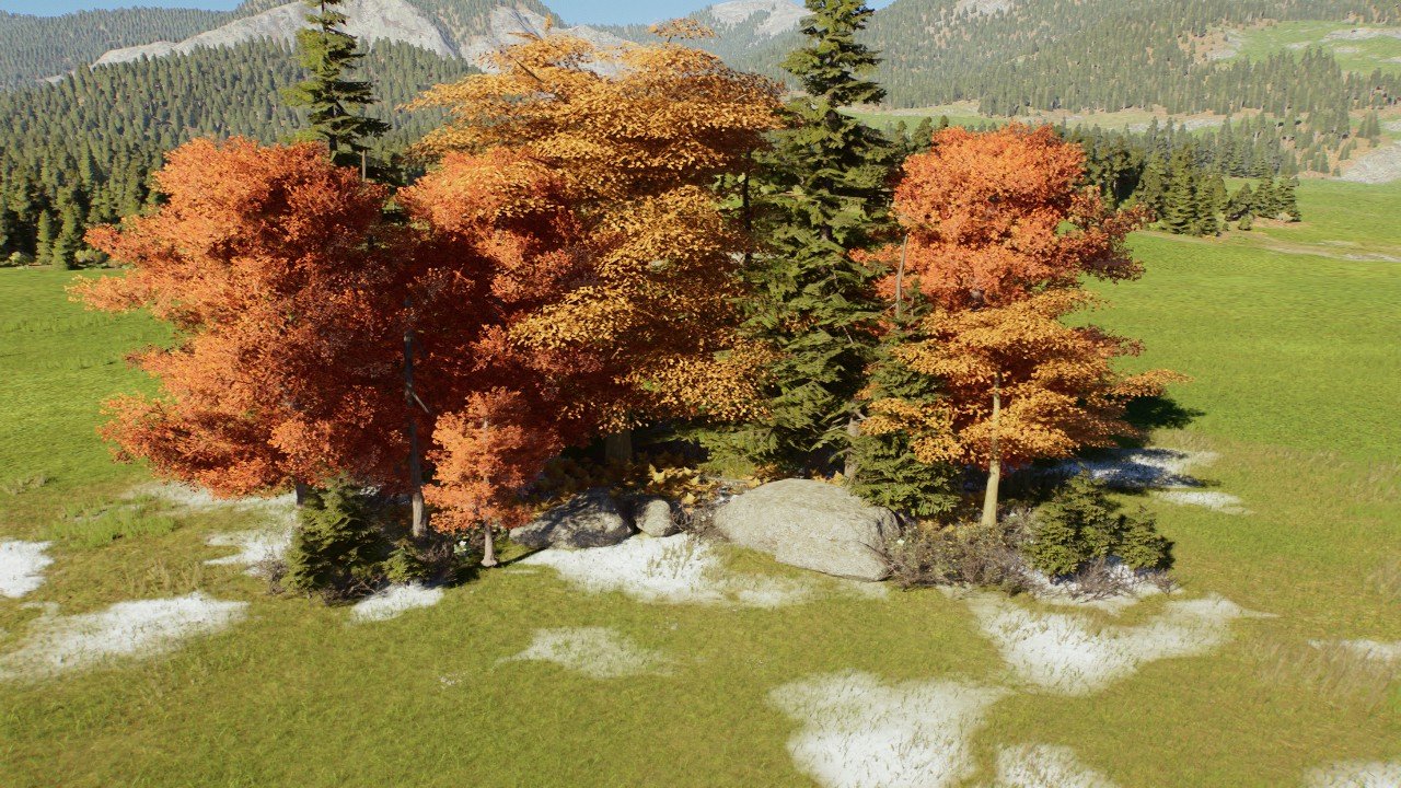 Flora of Quebec: Autumn