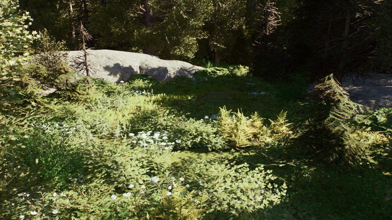 Flora of Quebec: Summer Square-3