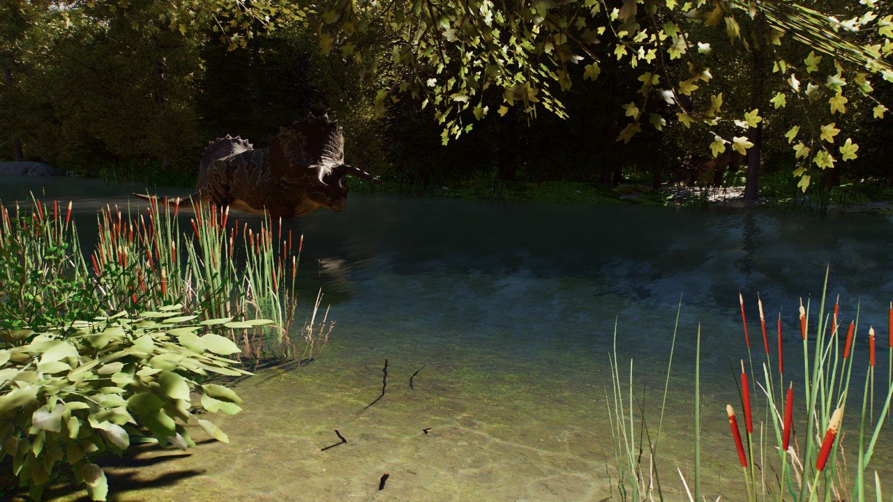 Flora of Quebec: Summer Square-4