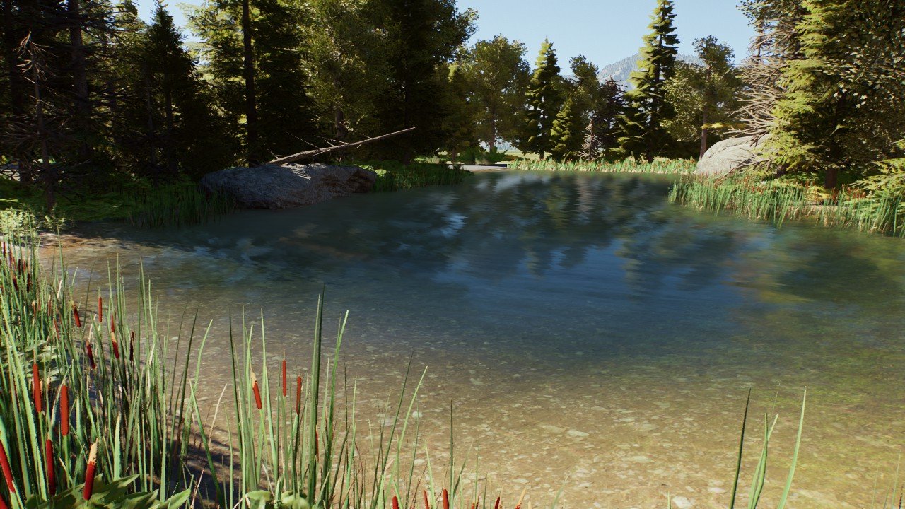 Flora of Quebec: Summer Square-5