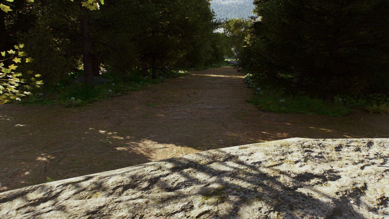 Flora of Quebec: Summer Square-6