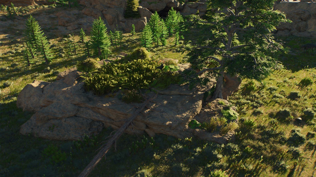 Large Rock