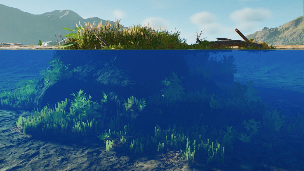Deep Water Swamp Island 1
