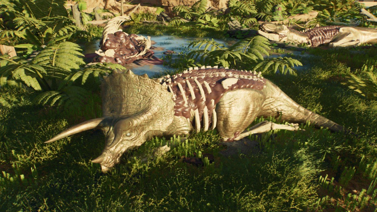 Rex nest